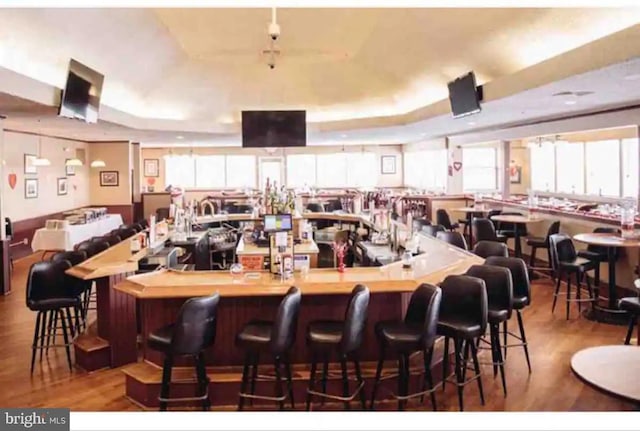 138 Banbury Dr, Bushkill, PA 18324 - community bar area featuring a tray ceiling, wood finished floors, and healthy amount of natural light