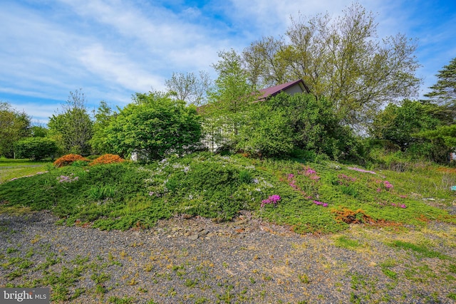 7600 Pohopoco Dr, Kunkletown, PA 18058 - view of yard