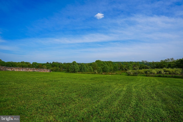 7600 Pohopoco Dr, Kunkletown, PA 18058 - view of green lawn with a view of trees