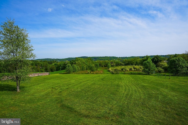 7600 Pohopoco Dr, Kunkletown, PA 18058 - view of green lawn with a view of rural / pastoral area