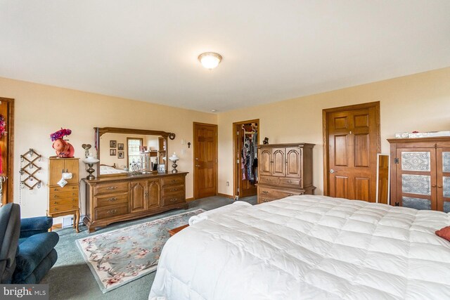 7600 Pohopoco Dr, Kunkletown, PA 18058 - bedroom with carpet floors, a closet, and a walk in closet