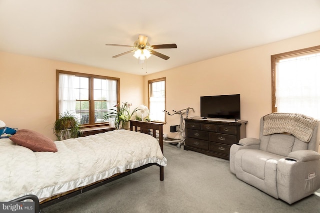7600 Pohopoco Dr, Kunkletown, PA 18058 - bedroom with light colored carpet and a ceiling fan