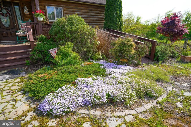 7600 Pohopoco Dr, Kunkletown, PA 18058 - view of yard