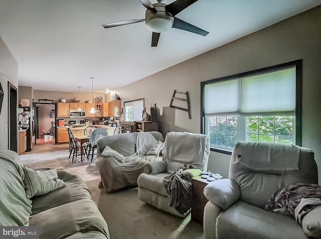 25 Domenick Dr, York, PA 17402 - living area with ceiling fan
