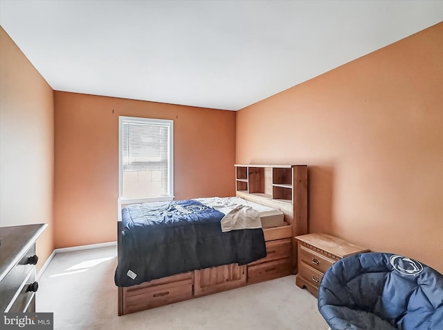 25 Domenick Dr, York, PA 17402 - bedroom featuring light colored carpet
