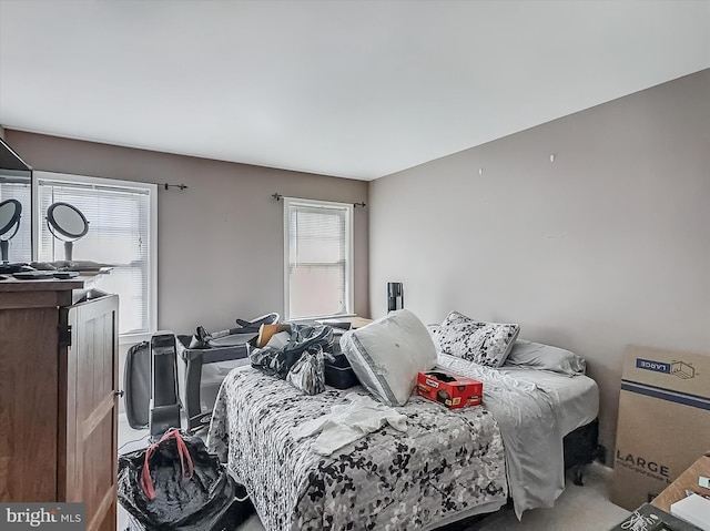 25 Domenick Dr, York, PA 17402 - bedroom featuring carpet floors