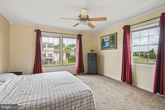 10519 Stonington Ln, Manassas, VA 20109 - bedroom with multiple windows, crown molding, carpet, and a ceiling fan