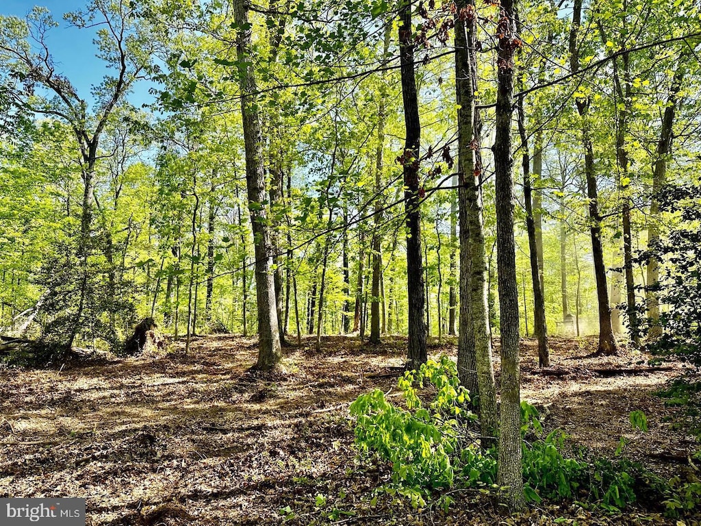 000LOT4 Tapps Ford Rd, Amissville, VA 20106