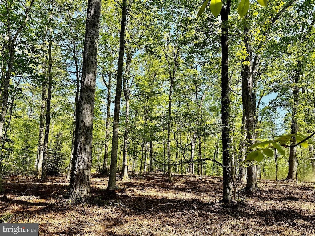 000LOT4 Tapps Ford Rd, Amissville, VA 20106