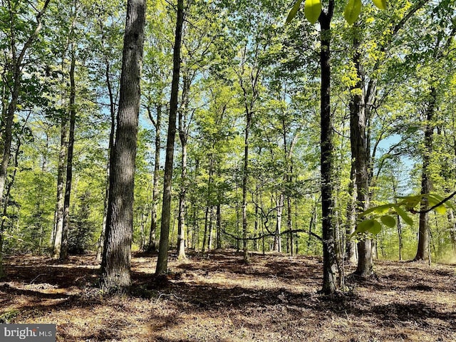 000LOT4 Tapps Ford Rd, Amissville, VA 20106