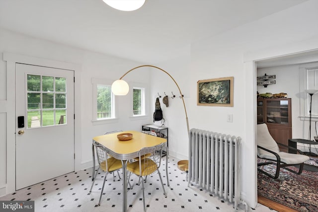1622 Delaware Ave, Wyomissing, PA 19610 - dining room featuring radiator and light floors