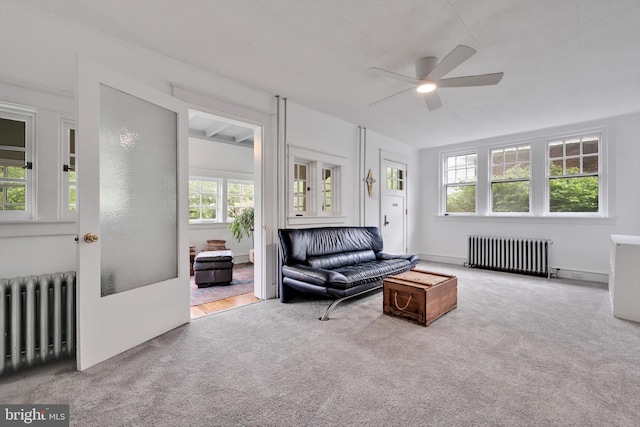 1622 Delaware Ave, Wyomissing, PA 19610 - carpeted living area with radiator and a ceiling fan