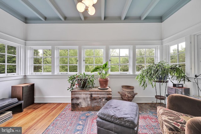 1622 Delaware Ave, Wyomissing, PA 19610 - sunroom / solarium featuring beam ceiling, healthy amount of natural light, and a chandelier