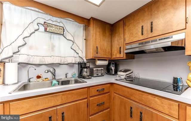 3324 Golf Course Rd, Allentown, PA 18104 - kitchen with under cabinet range hood, black electric stovetop, light countertops, and brown cabinetry