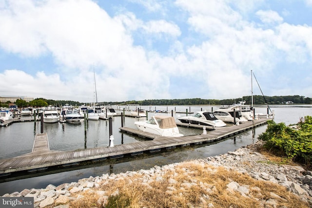 13755 Tides St, Woodbridge, VA 22191 - dock with a water view