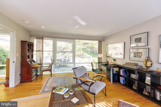 4305 Blagden Ave NW, Washington, DC 20011 - living room featuring light wood-type flooring
