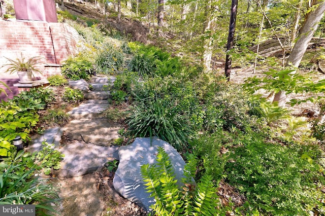 4305 Blagden Ave NW, Washington, DC 20011 - view of yard