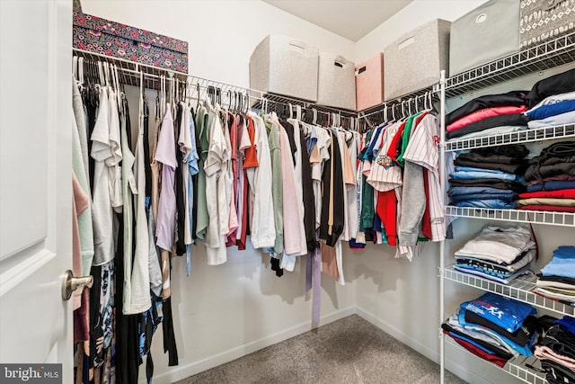 512 S Media Way, Media, PA 19063 - walk in closet with carpet