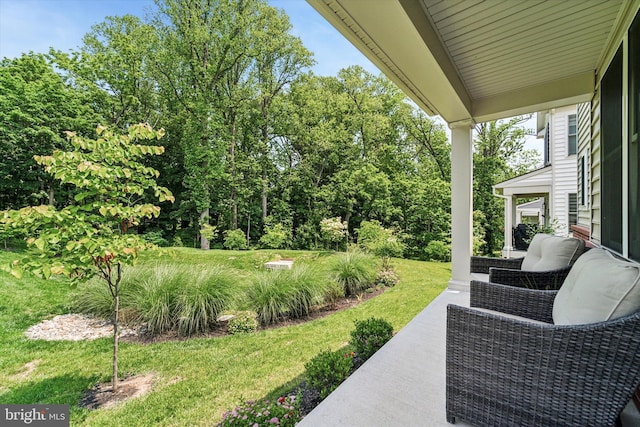 512 S Media Way, Media, PA 19063 - view of grassy yard
