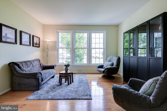 213 Casper Way, Middletown, DE 19709 - living room with wood finished floors and baseboards