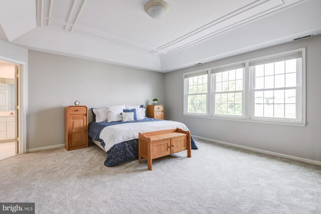 213 Casper Way, Middletown, DE 19709 - bedroom featuring carpet flooring and a raised ceiling