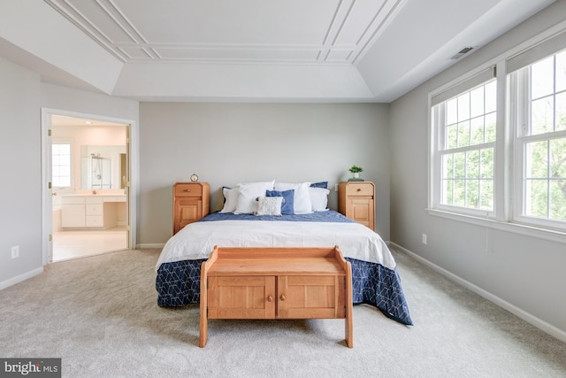213 Casper Way, Middletown, DE 19709 - bedroom featuring light colored carpet, a tray ceiling, and ensuite bathroom