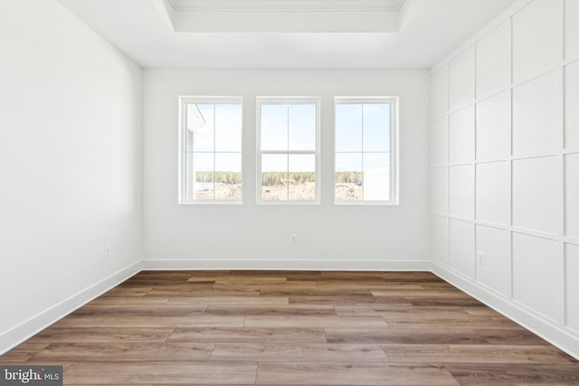 19712 Crows Nest Ct, Georgetown, DE 19947 - spare room featuring plenty of natural light, a tray ceiling, light wood-style flooring, and crown molding
