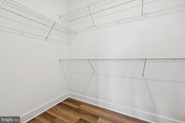 19712 Crows Nest Ct, Georgetown, DE 19947 - spacious closet with wood finished floors