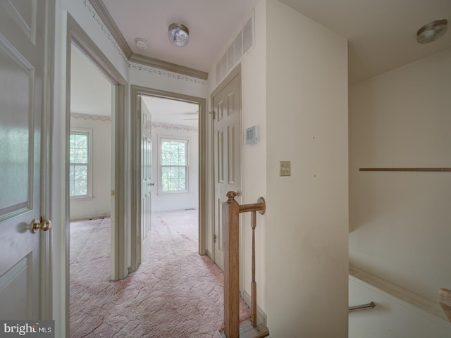 15069 Maple Glen Ct, Dumfries, VA 22025 - hallway featuring light carpet
