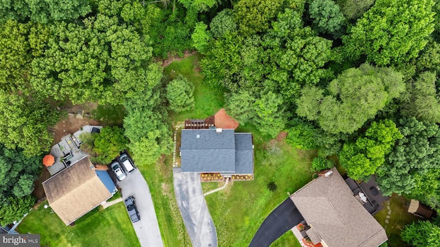 602 Sweet Brush Ct, Severna Park, MD 21146 - drone / aerial view