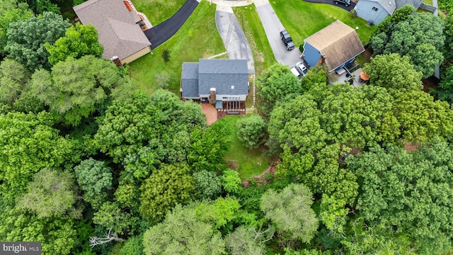 602 Sweet Brush Ct, Severna Park, MD 21146 - drone / aerial view