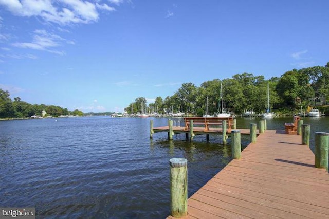 602 Sweet Brush Ct, Severna Park, MD 21146 - dock area with a water view