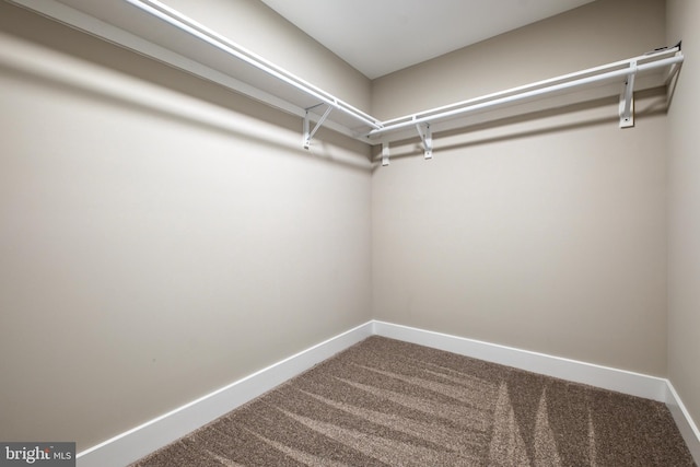 2725 S Sunset Ave, Williamstown, NJ 08094 - walk in closet featuring carpet