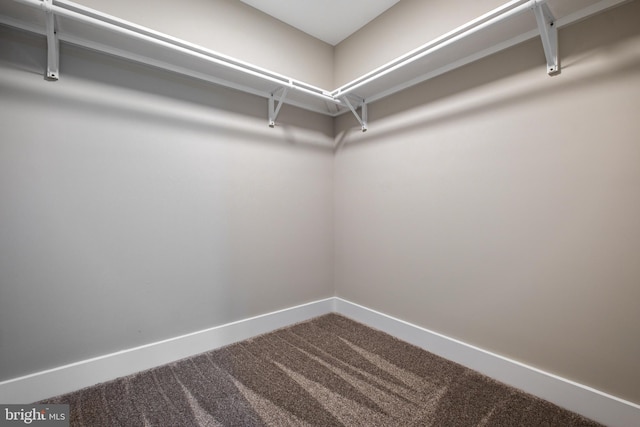 2725 S Sunset Ave, Williamstown, NJ 08094 - spacious closet featuring carpet floors