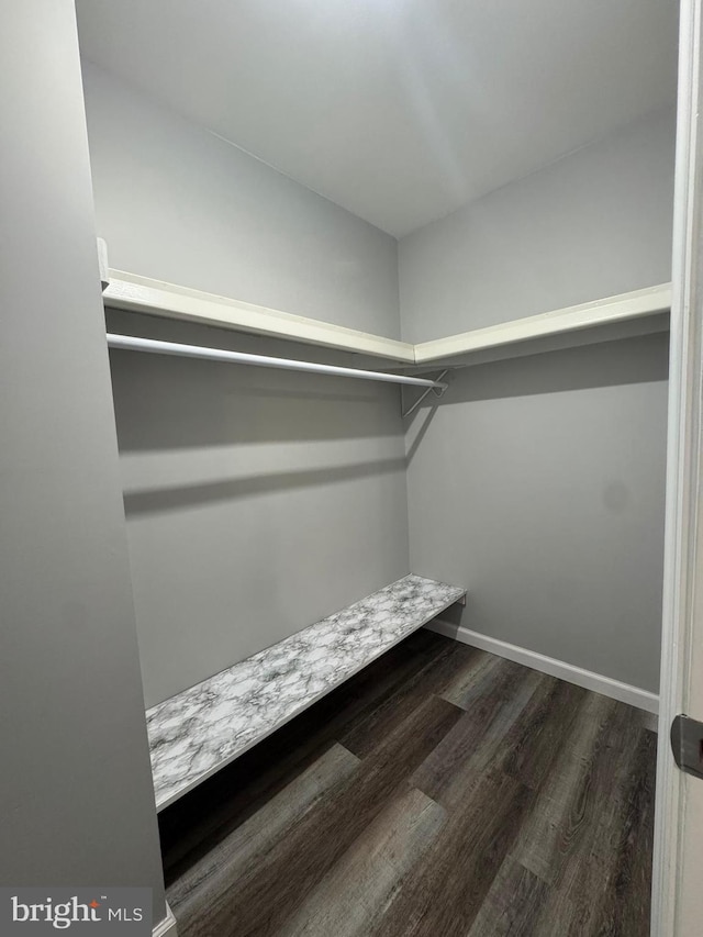 225 Barclay Ct, West Deptford, NJ 08051 - spacious closet with dark wood finished floors
