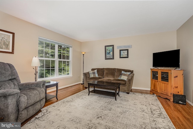 14 Cedarfield Dr, Gettysburg, PA 17325 - living room with wood finished floors