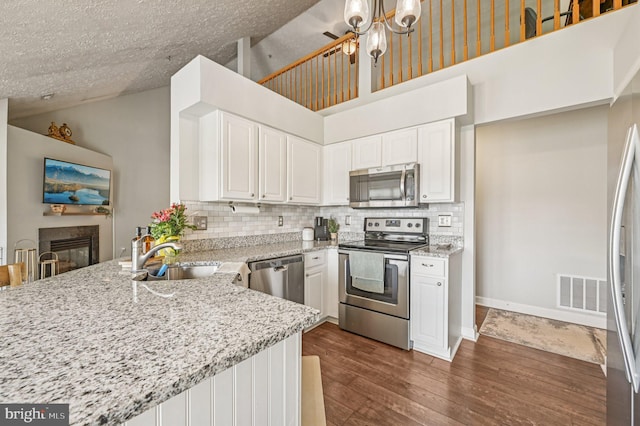 6341 Springwater Ter Unit 9402, Frederick, MD 21701 - kitchen featuring stainless steel appliances, tasteful backsplash, dark wood-type flooring, a peninsula, and light stone countertops