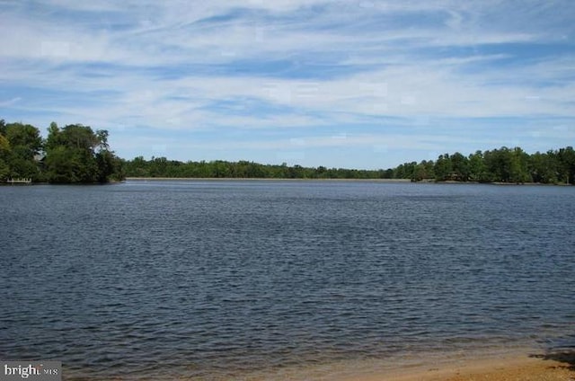 880 Campers Ln, Ruther Glen, VA 22546 - water view