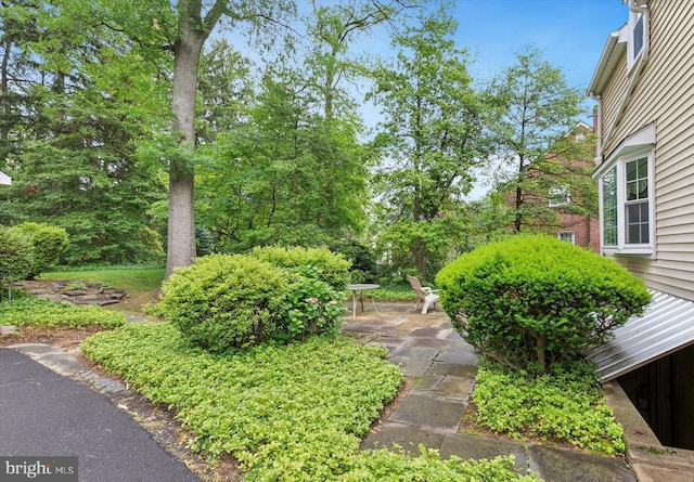 515 Marks Rd, Oreland, PA 19075 - view of yard with a patio area