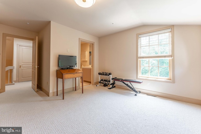 210 Cambridge Chase Chase, Exton, PA 19341 - workout room featuring carpet flooring and vaulted ceiling