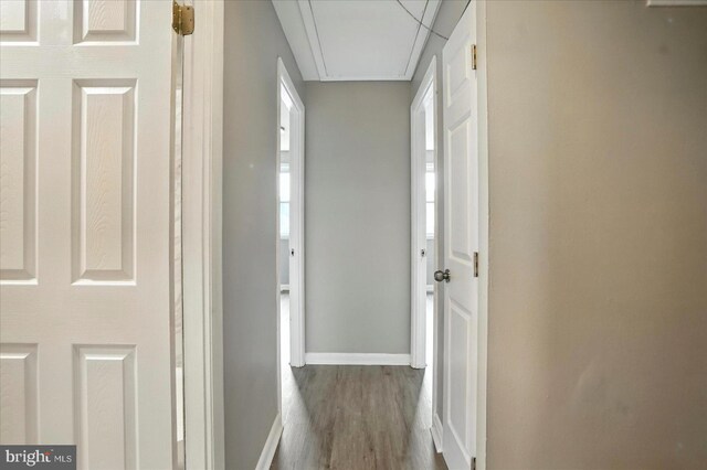 8206 Boundary, Baltimore, MD 21222 - hall with attic access and dark wood-style floors