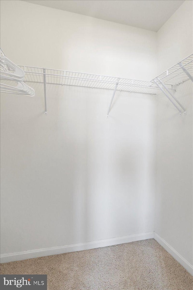 251 Magellan Dr, Martinsburg, WV 25404 - walk in closet with light colored carpet