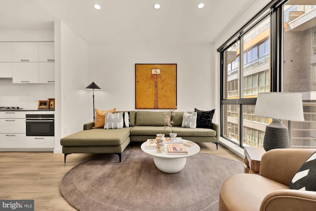 1500 Harry Thomas Way NE Unit 504, Washington, DC 20002 - living area featuring light wood-type flooring and recessed lighting