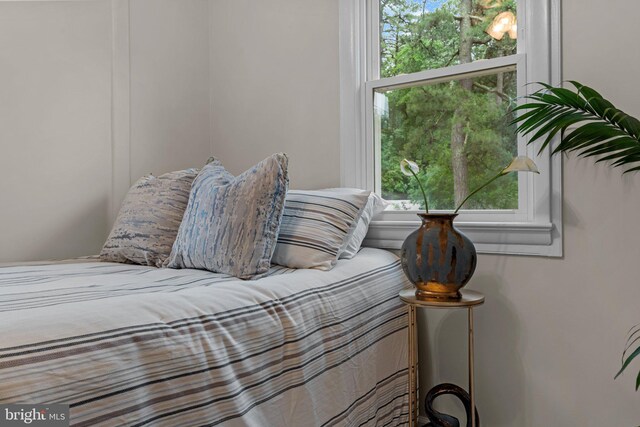 72 River St, Browns Mills, NJ 08015 - bedroom with multiple windows
