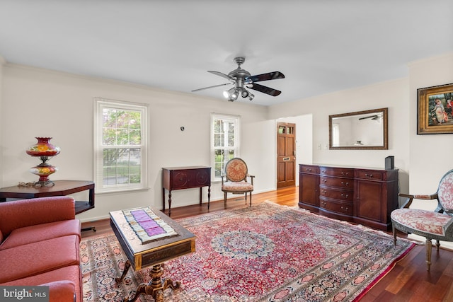 14519 Keeneland Cir, North Potomac, MD 20878 - living room with healthy amount of natural light, light wood-type flooring, ceiling fan, and ornamental molding