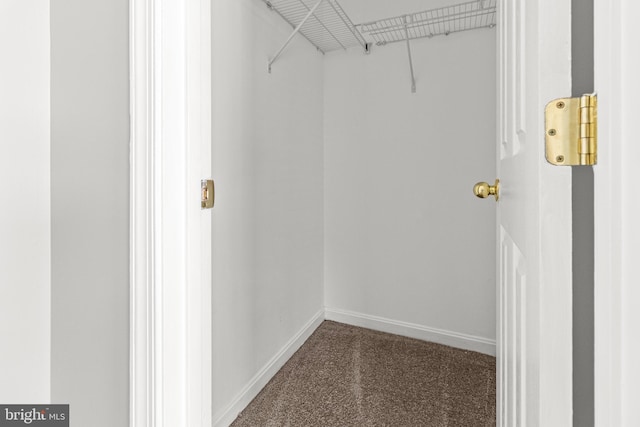 3515 Foundry Mews, Baltimore, MD 21211 - walk in closet with carpet flooring