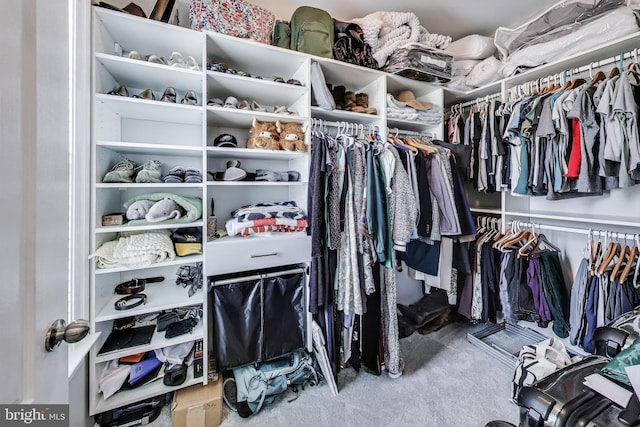 508 Rampart Way Unit 6, Oxon Hill, MD 20745 - walk in closet featuring carpet floors