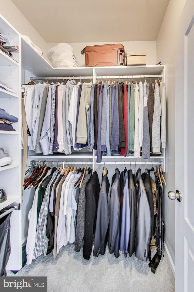 508 Rampart Way Unit 6, Oxon Hill, MD 20745 - view of walk in closet