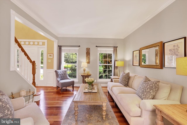 3930 Liz Cir, Doylestown, PA 18902 - living room with wood finished floors, stairway, and crown molding