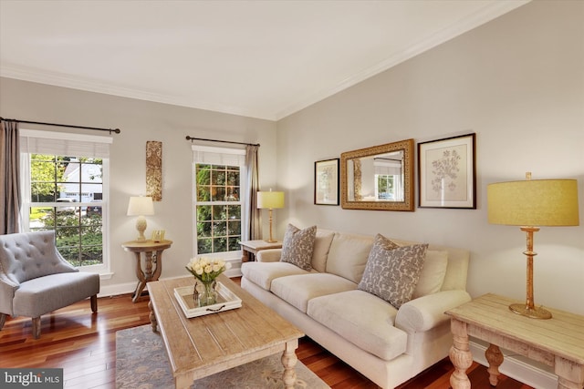 3930 Liz Cir, Doylestown, PA 18902 - living room with plenty of natural light, wood-type flooring, and ornamental molding